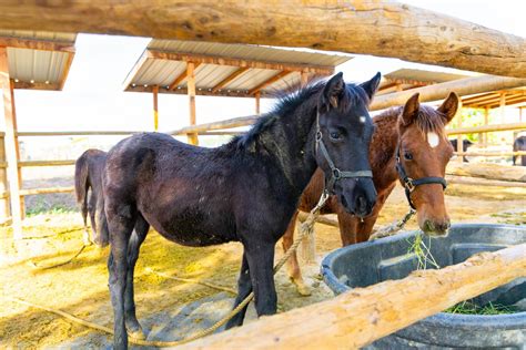 all seated in a barn photos|allseatedinabarn.